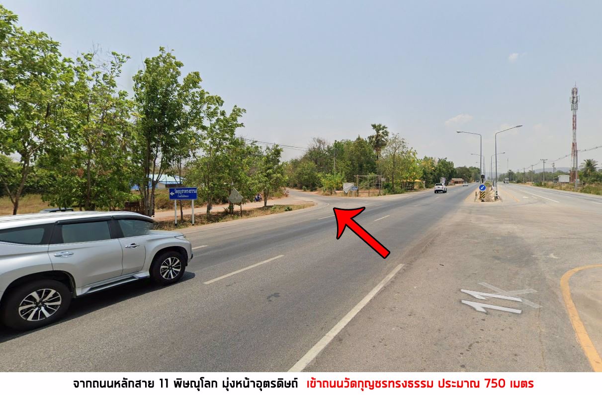 ขาย-ที่ดิน-19-ไร่-อวัดโบสถ์-พิษณุโลก-ติดถนนลาดยาง-มีไฟฟ้าผ่าน-ราคาถูก