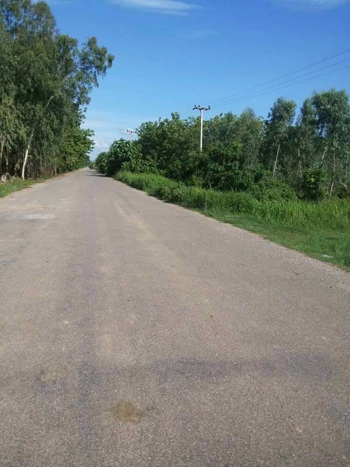 ขาย-ที่ดิน-19-ไร่-อวัดโบสถ์-พิษณุโลก-ติดถนนลาดยาง-มีไฟฟ้าผ่าน-ราคาถูก