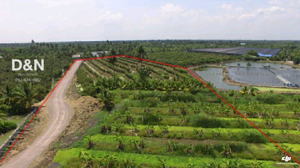 ขาย-ที่ดิน-8-ไร่-ติดคลองดำเนินฯ-บ้านแพ้ว-สมุทรสาคร-ติดถนนลาดยาง-ถมทางเข้าแล้ว