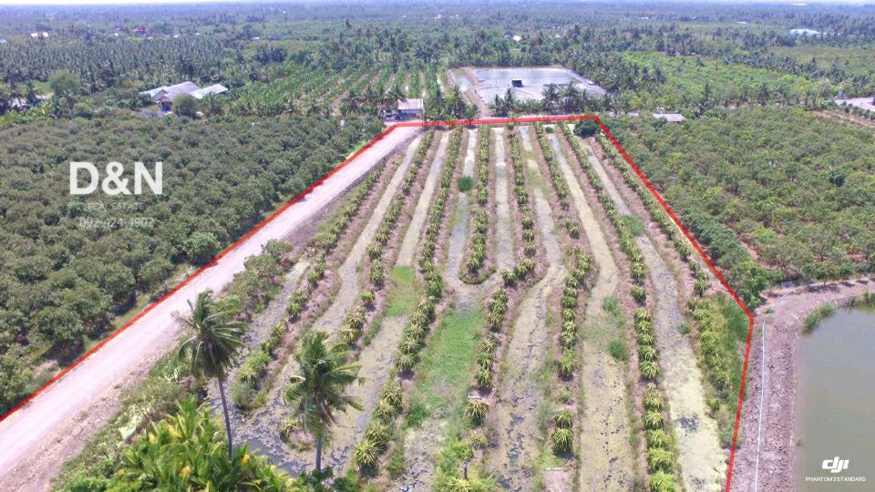 ขาย-ที่ดิน-8-ไร่-ติดคลองดำเนินฯ-บ้านแพ้ว-สมุทรสาคร-ติดถนนลาดยาง-ถมทางเข้าแล้ว