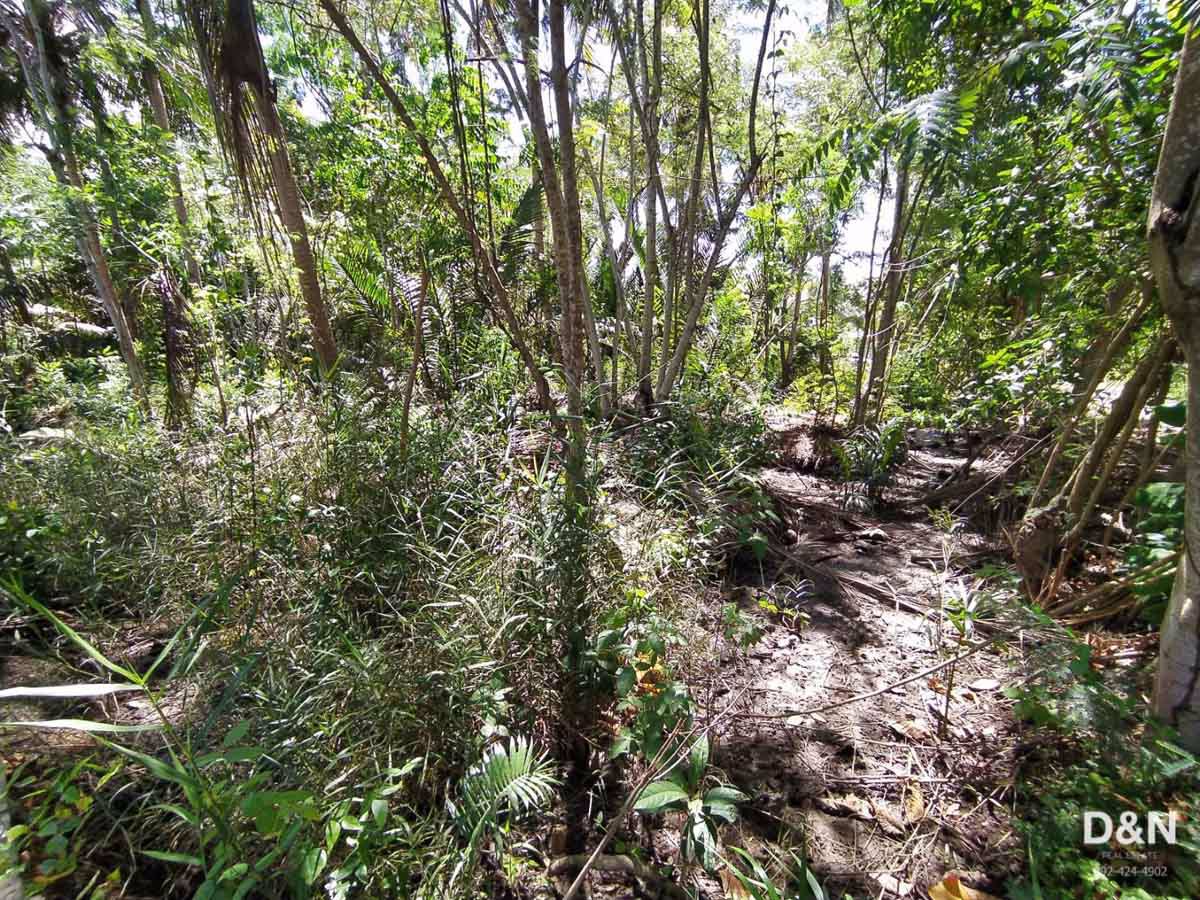 ขาย-ที่ดิน-2-ไร่-ริมคลองประชาชื่น-อัมพวา-สมุทรสงคราม-ติดถนนลาดยาง-น้ำไฟเข้าถึง