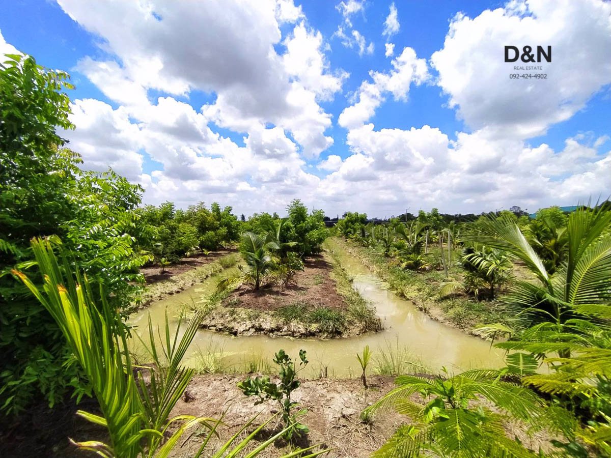 ขาย-ที่ดิน-2-งาน-บางยาง-กระทุ่มแบน-สมุทรสาคร-ติดถนนสาธารณะ-ไฟฟ้า-ประปา-เข้าถึง