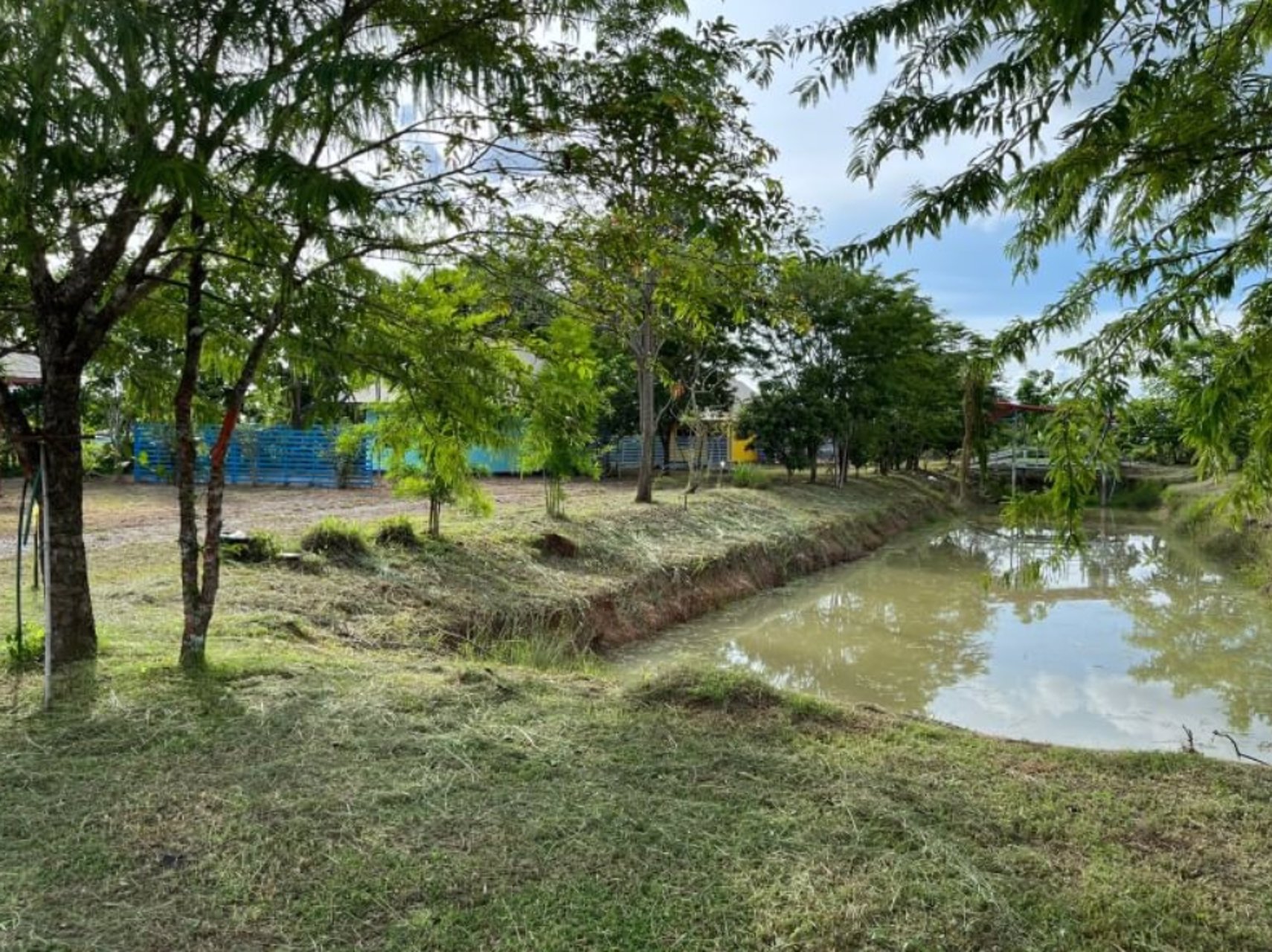 ขายที่ดินเปล่าติดรีสอร์ท-มีน้ำไฟฟ้า-บ้านโคกสีแก้ว-เนื้อที่-117-ตรว