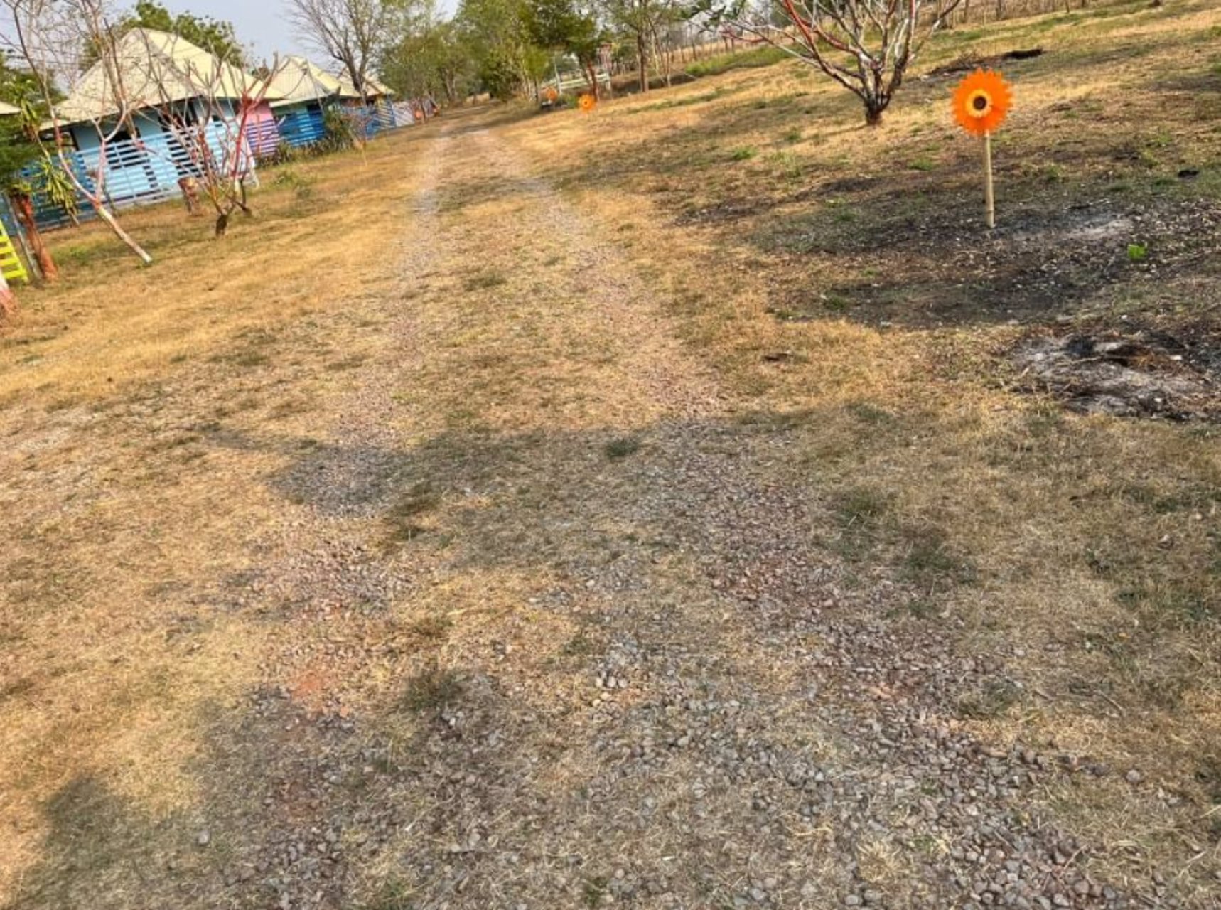 ขายบ้านพร้อมที่ดิน-50-ตรว-มี1นอน1น้ำ