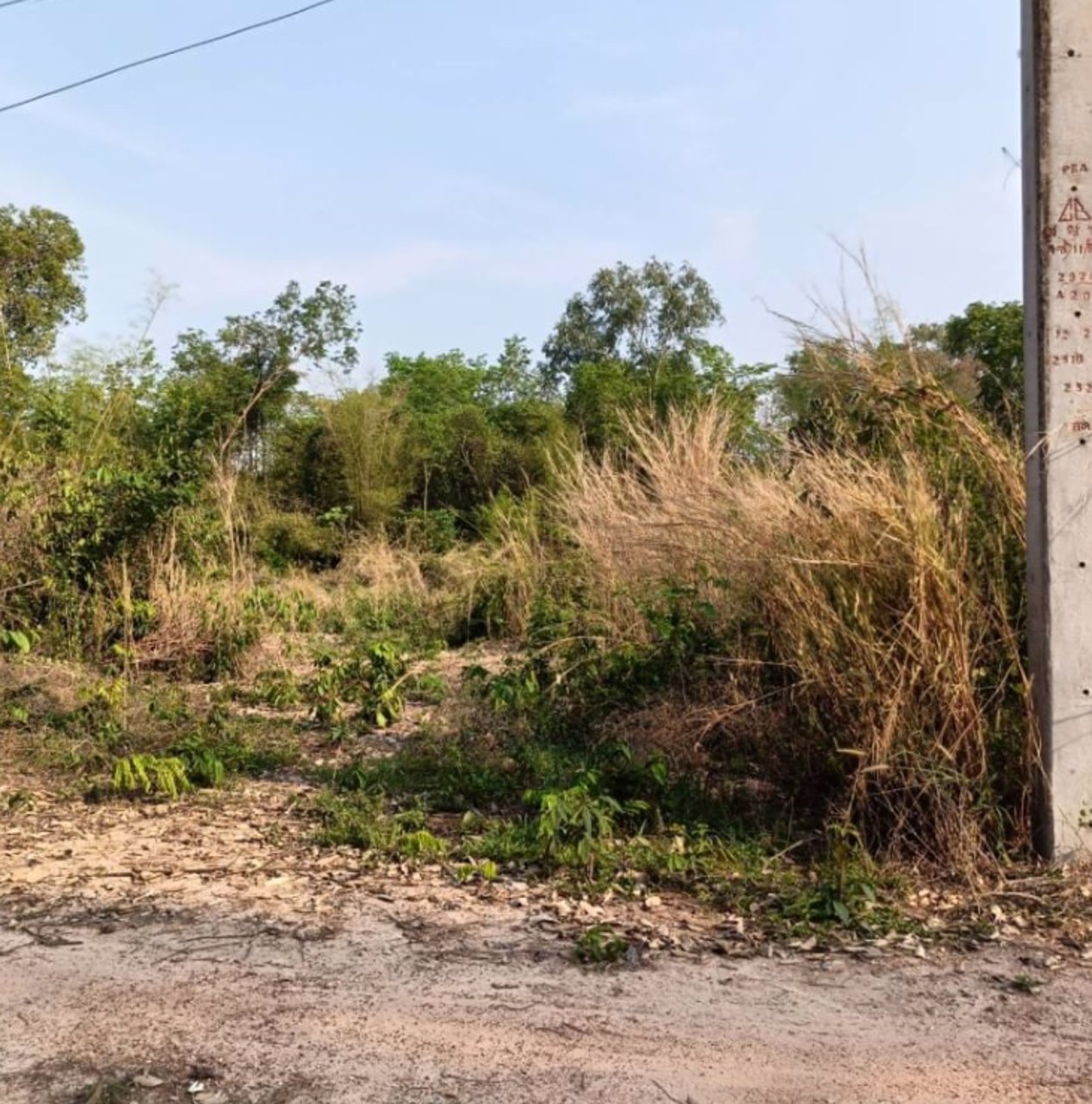 ขายที่ดินหลังร้านอาหารริมบึงโง้ง-2ไร่