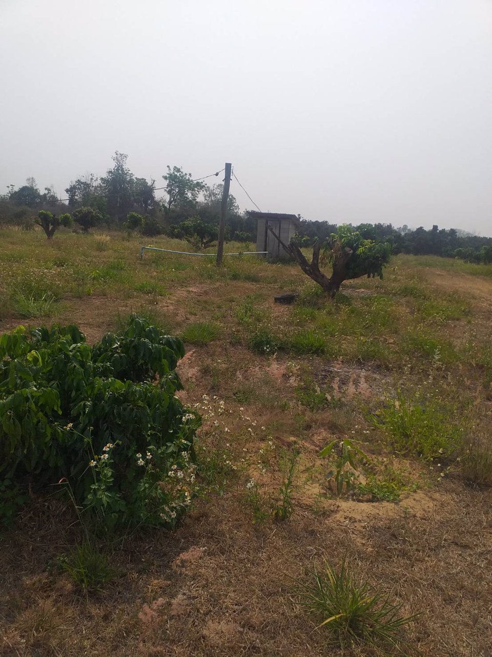 ขายที่ดิน-ตำบลดอยหล่อ-จังหวัดเชียงใหม่-สำหรับบ้านพักตากอากาศ-และทำสวน