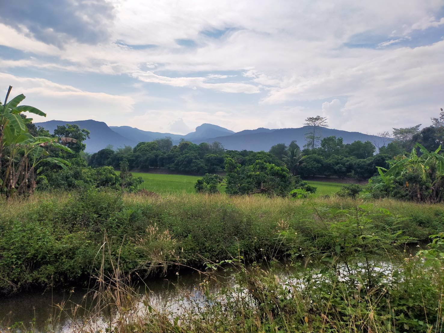 ขายที่ดิน-ใกล้น้ำตกแม่กลางวัดพระธาตุจอมทอง-จเชียงใหม่