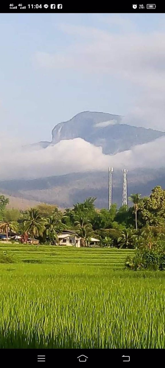 ขายที่ดิน-ใกล้น้ำตกแม่กลางวัดพระธาตุจอมทอง-จเชียงใหม่