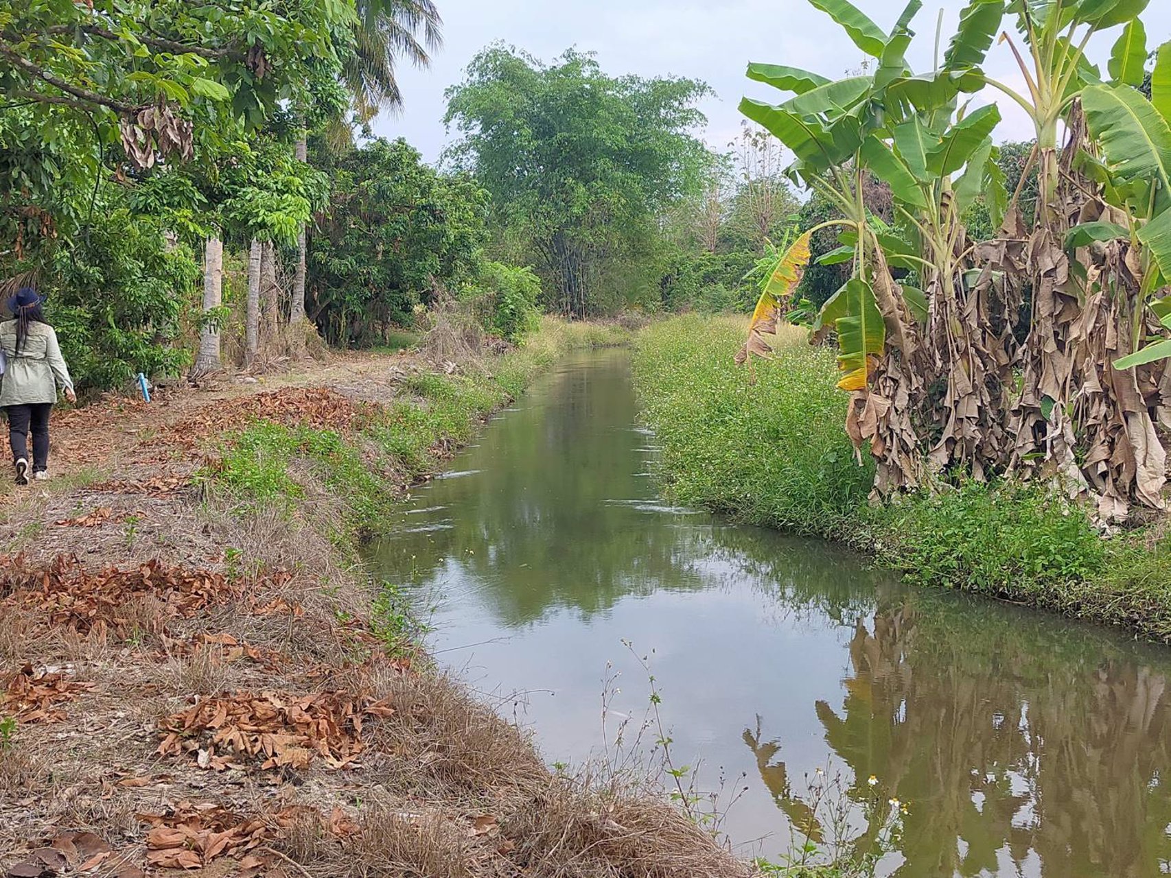 ขายที่ดิน-ใกล้น้ำตกแม่กลางวัดพระธาตุจอมทอง-จเชียงใหม่