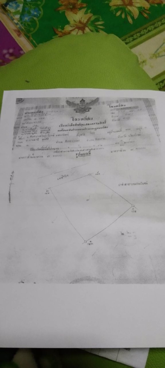 ขายที่ดินเปล่ายกแปลงติดแม่น้ำปิง