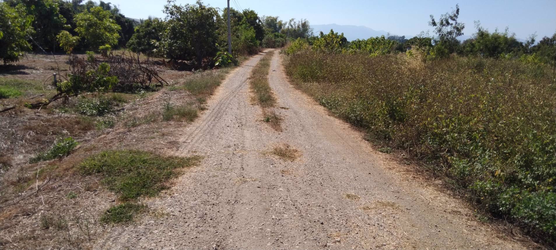 ขายที่ดินเปล่ายกแปลงติดแม่น้ำปิง