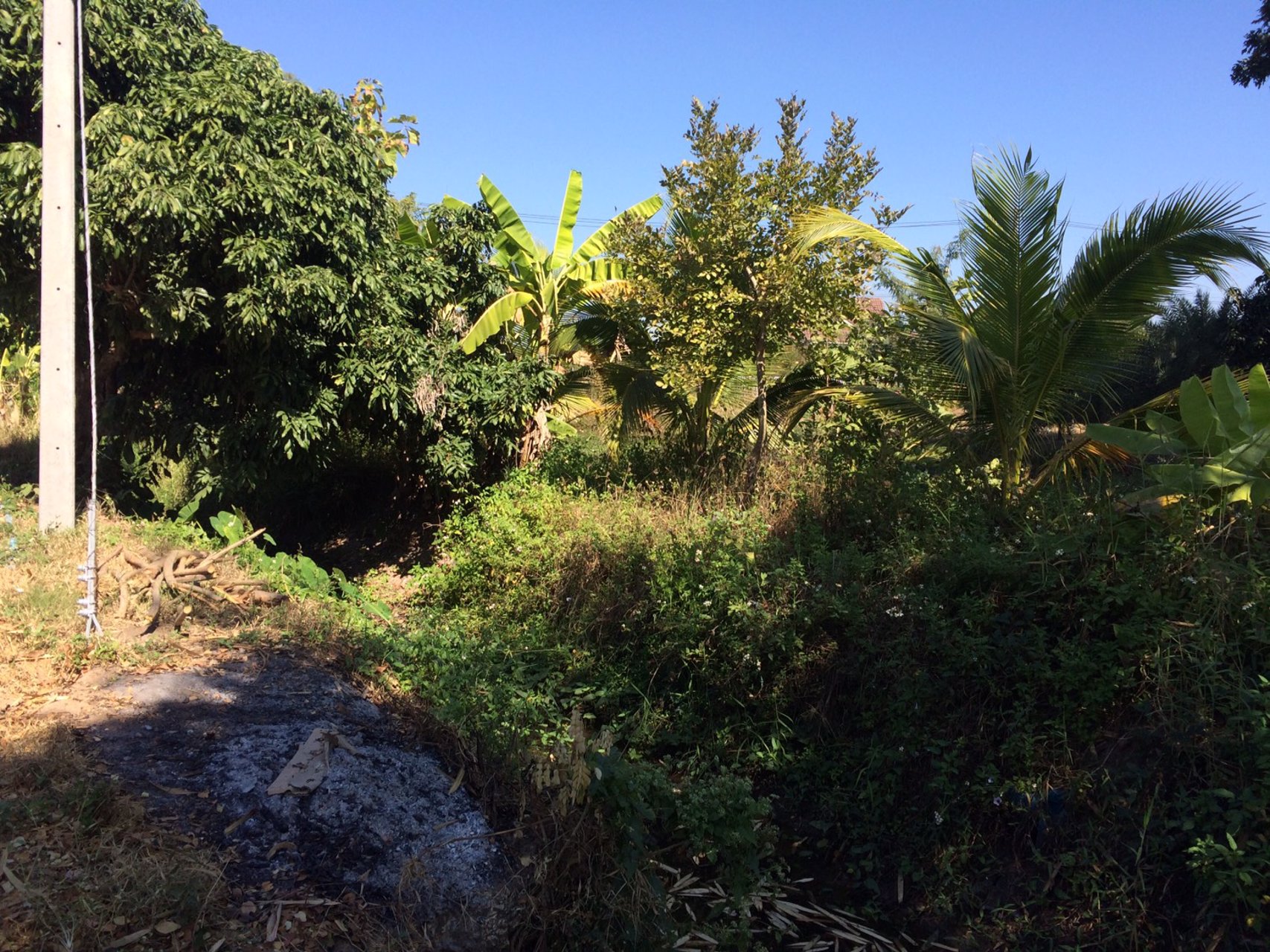 ขายที่ดิน-1-ไร่-1-งาน-48-ตารางวา-จังหวัดลำพูน