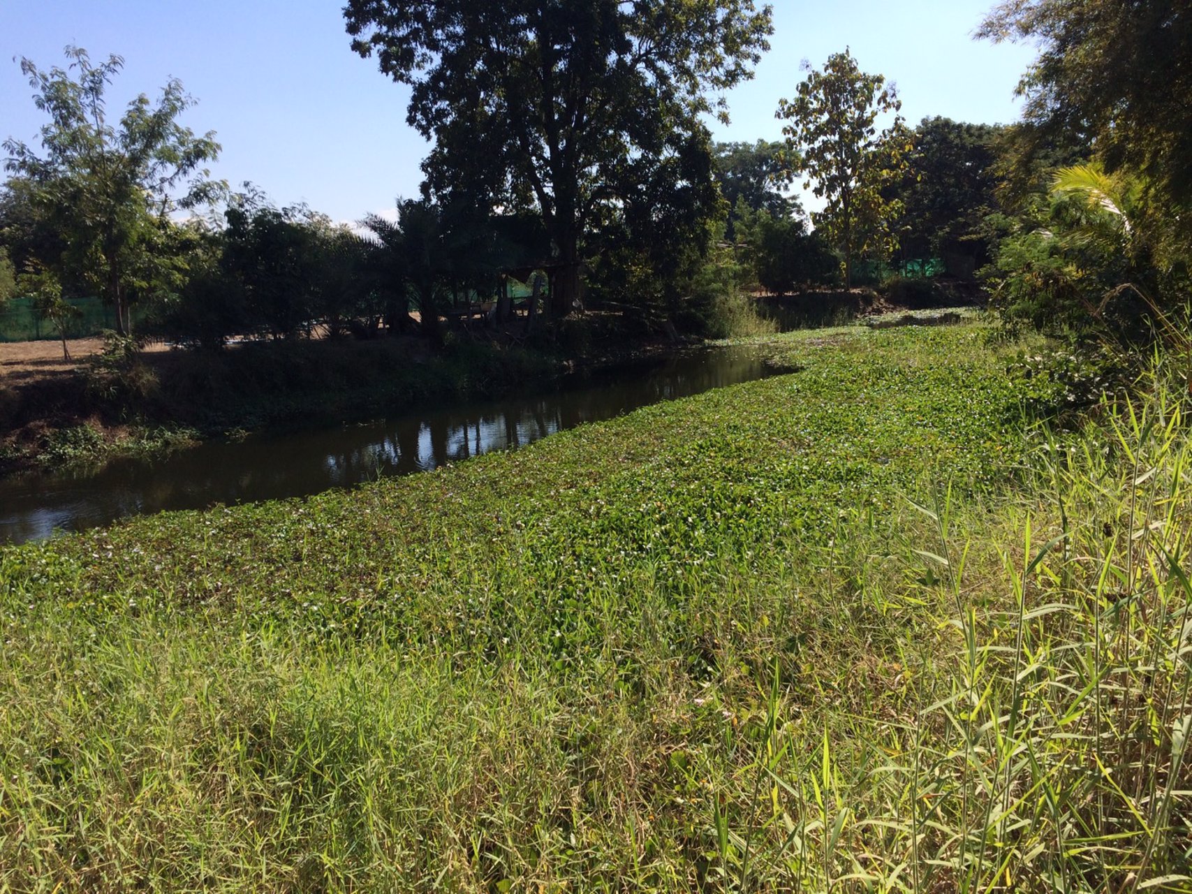 ขายที่ดิน-1-ไร่-1-งาน-48-ตารางวา-จังหวัดลำพูน