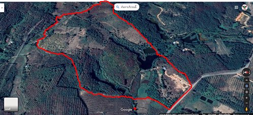 ที่ดิน-100-ไร่พร้อมสวนยางพารา-3000-ต้น