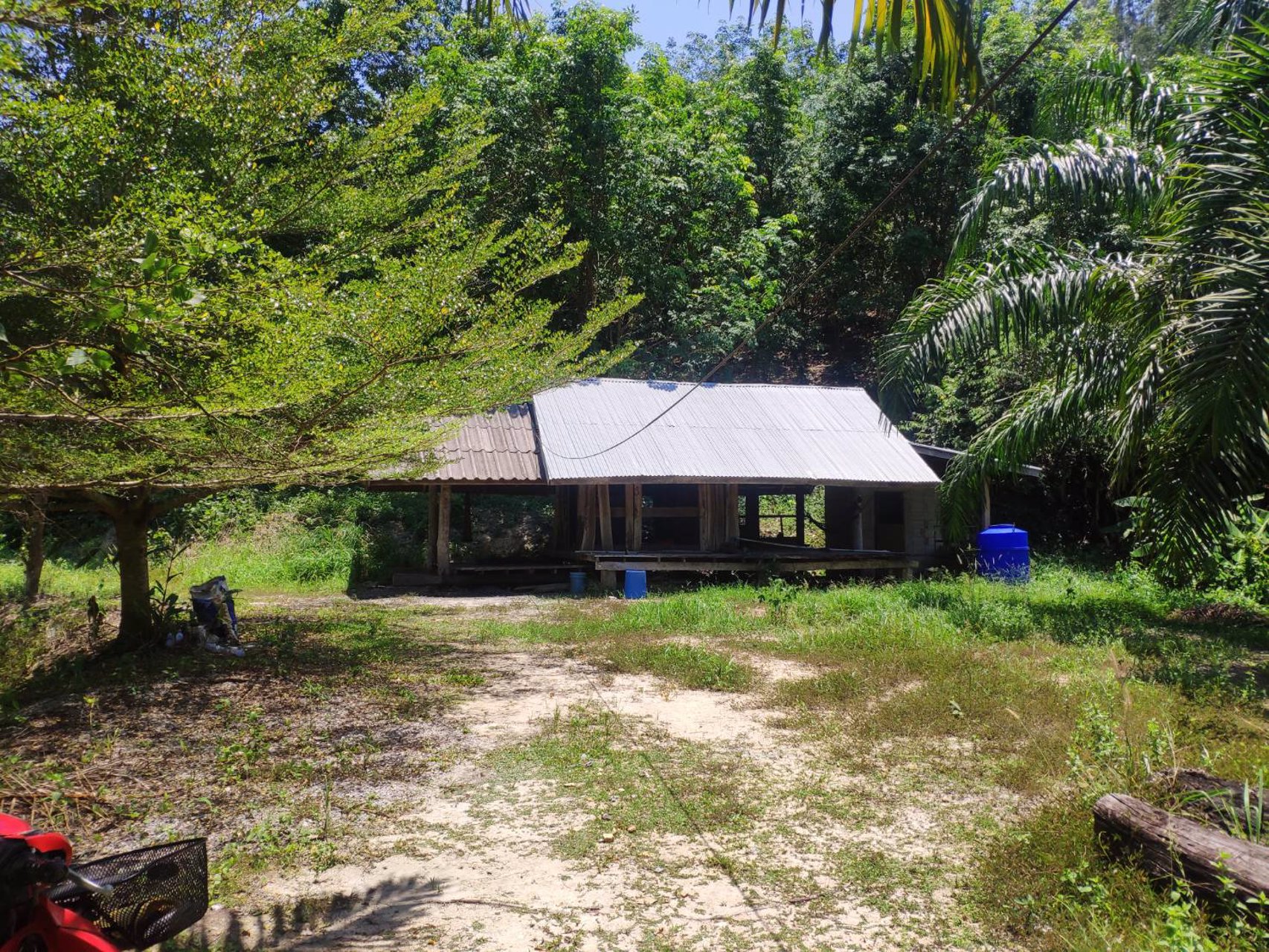 ที่ดิน-100-ไร่พร้อมสวนยางพารา-3000-ต้น