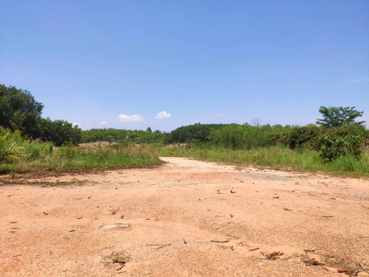 ที่ดิน-100-ไร่พร้อมสวนยางพารา-3000-ต้น