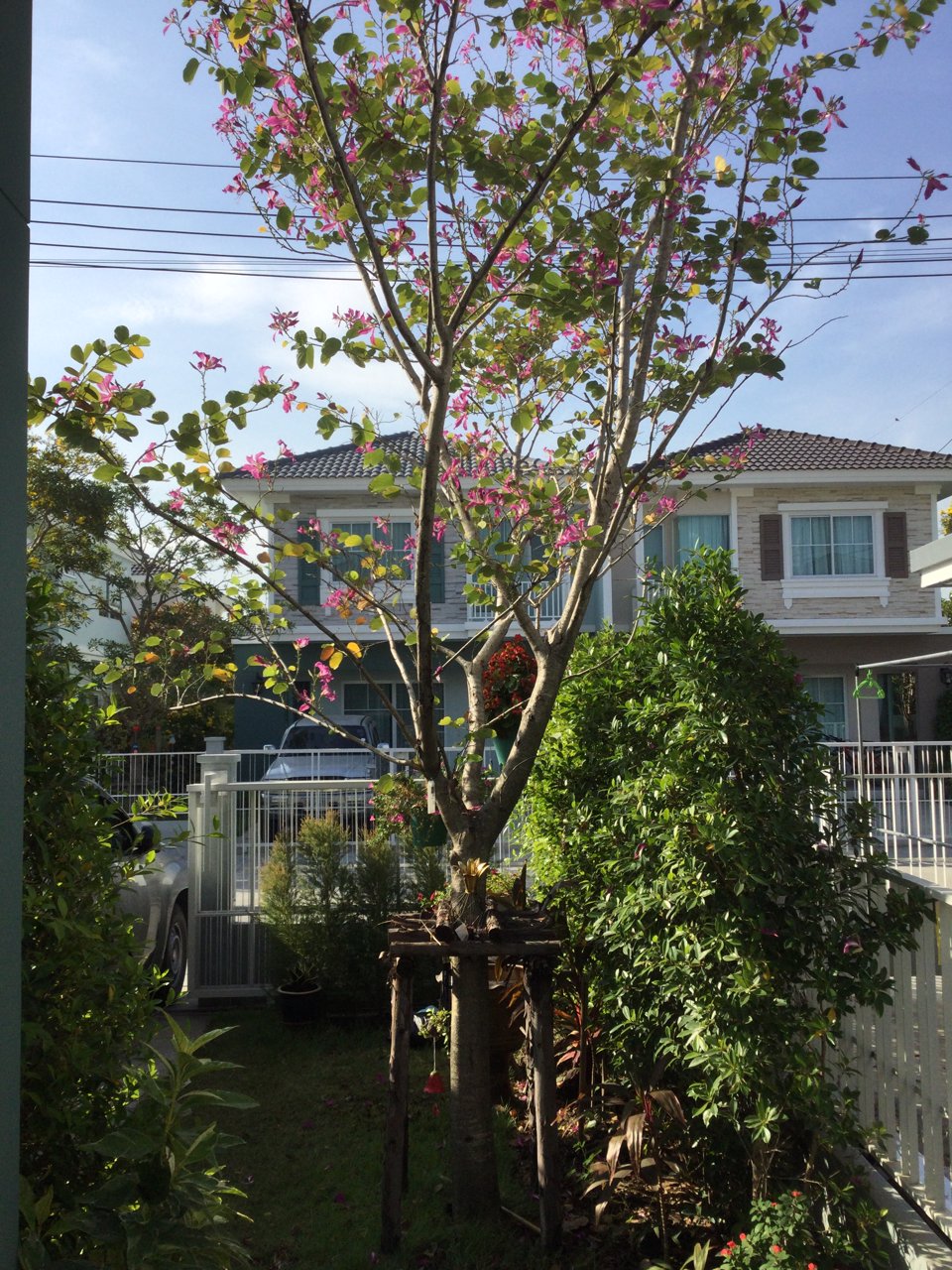 villaggio-บางนา-เทพารักษ์-land-houses