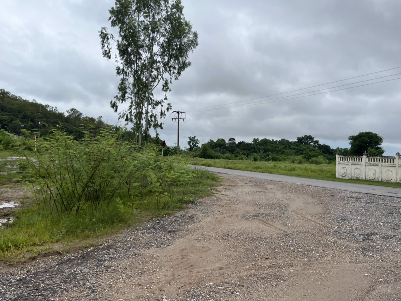 ขายที่ดินเนื้อที่-11ไร่-81ตรว-ติดถนน2ด้าน