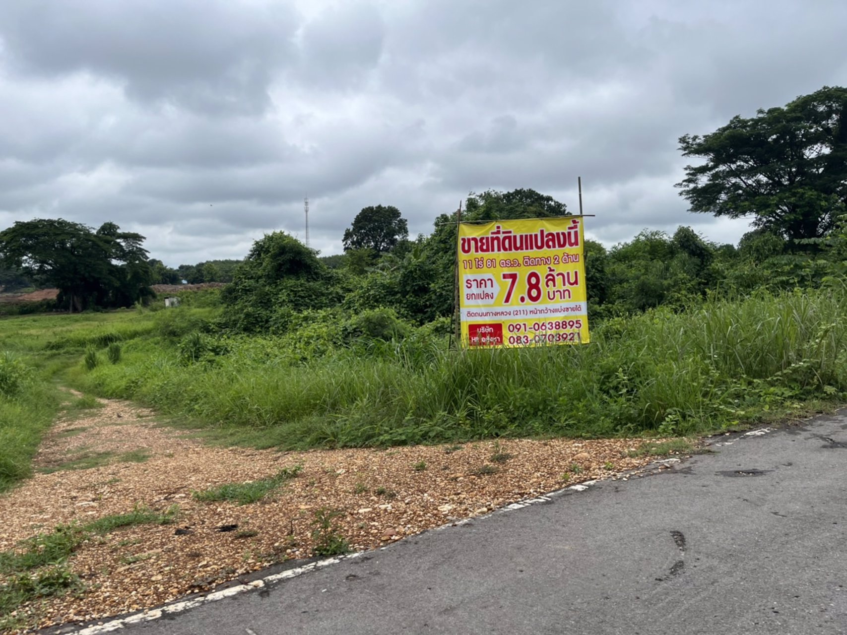 ขายที่ดินเนื้อที่-11ไร่-81ตรว-ติดถนน2ด้าน