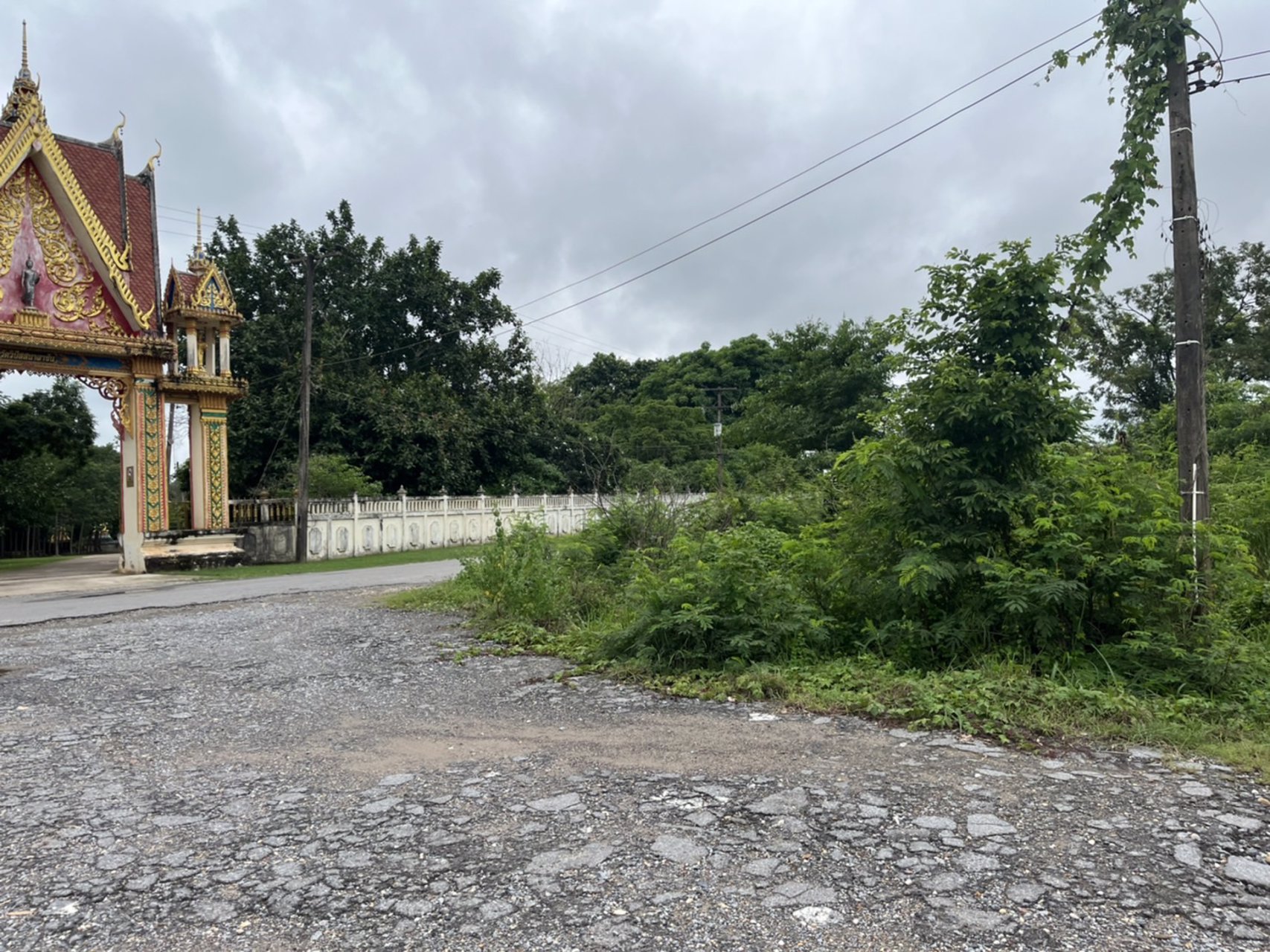 ขายที่ดินเนื้อที่-11ไร่-81ตรว-ติดถนน2ด้าน