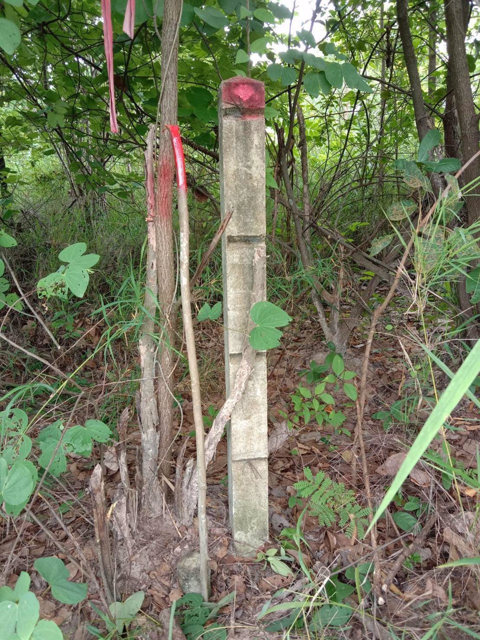 ขายที่ดิน-เนื้อที่-77-ตรว-บ้านปะโค-อกุดจับ-จอุดรธานี