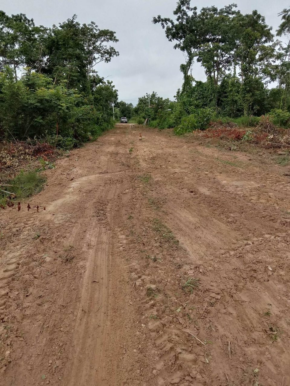 ขายที่ดิน-เนื้อที่-77-ตรว-บ้านปะโค-อกุดจับ-จอุดรธานี