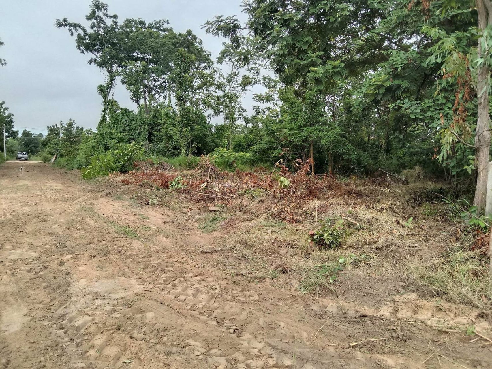 ขายที่ดิน-เนื้อที่-77-ตรว-บ้านปะโค-อกุดจับ-จอุดรธานี