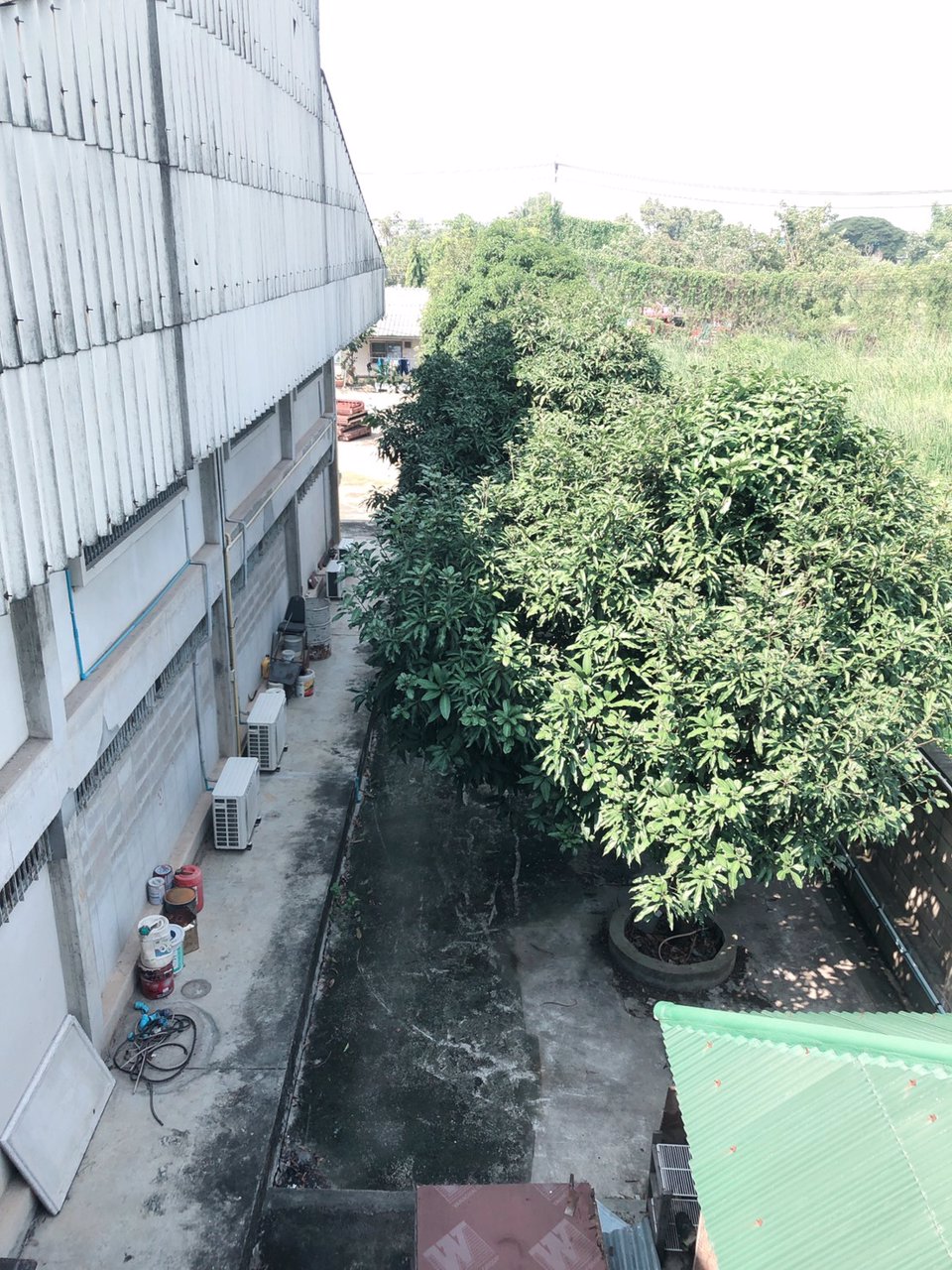 ให้เช่าที่ดินพร้อมสิ่งปลูกสร้าง-เนื้อที่-2-ไร่-68-ตารางวา-ติดถนนซอยเจริญพัฒนา-เขตมีนบุรี