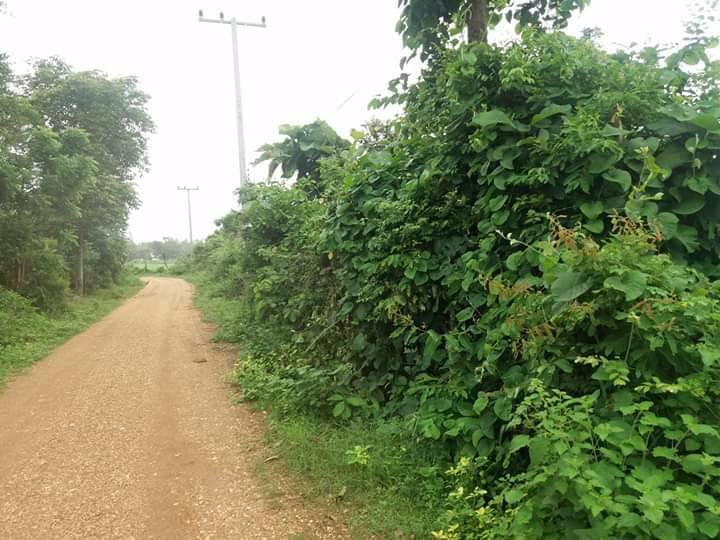 ขายที่ดินในเขตอำเภอห้างฉัตร-จังหวัดลำปาง