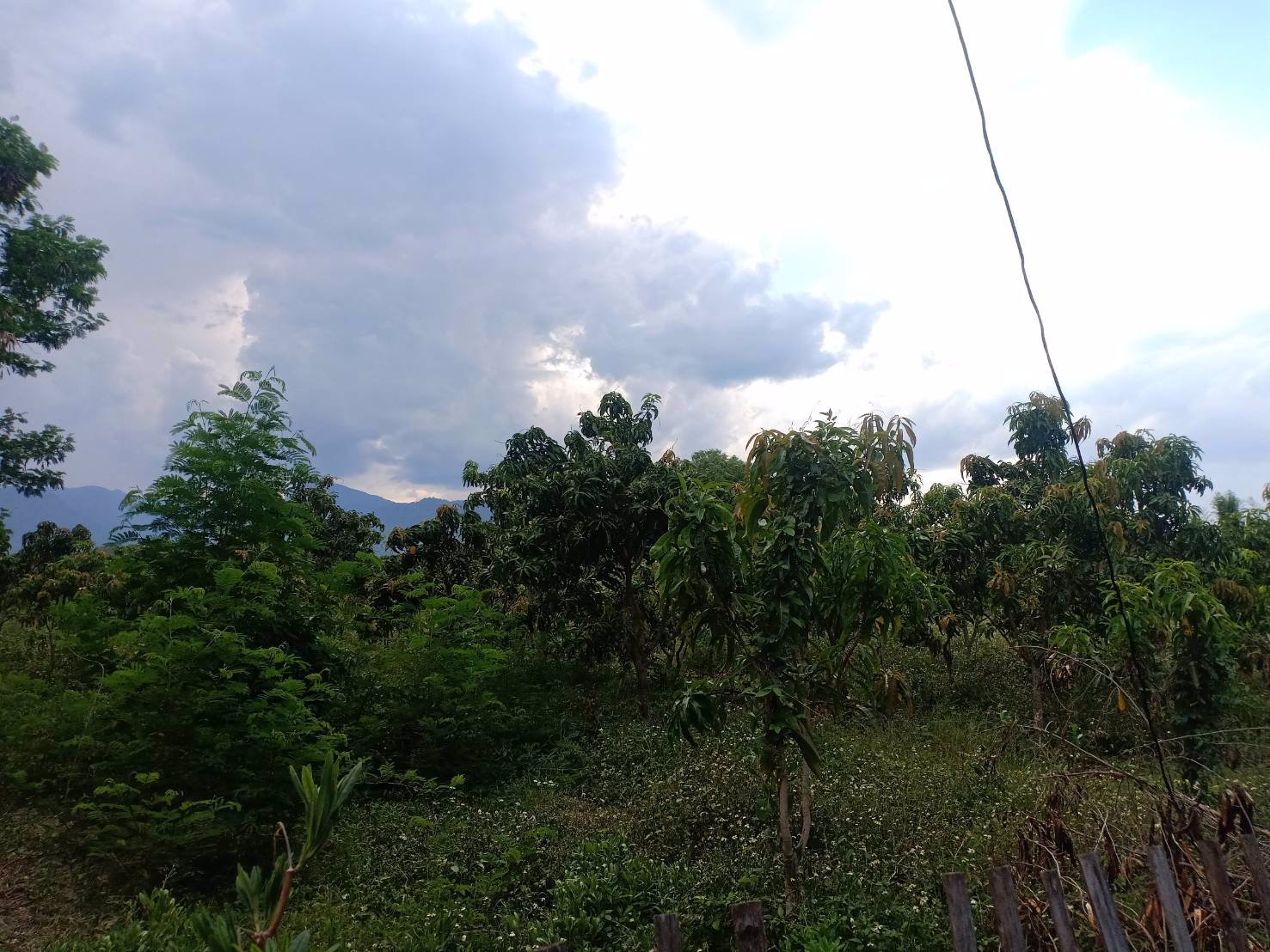 ขายที่ดิน-7-ไร่-อจอมทอง-จเชียงใหม่