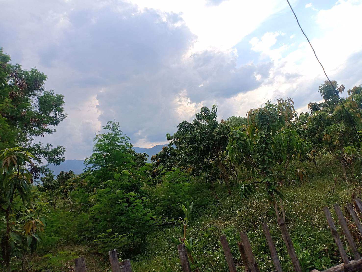 ขายที่ดิน-7-ไร่-อจอมทอง-จเชียงใหม่