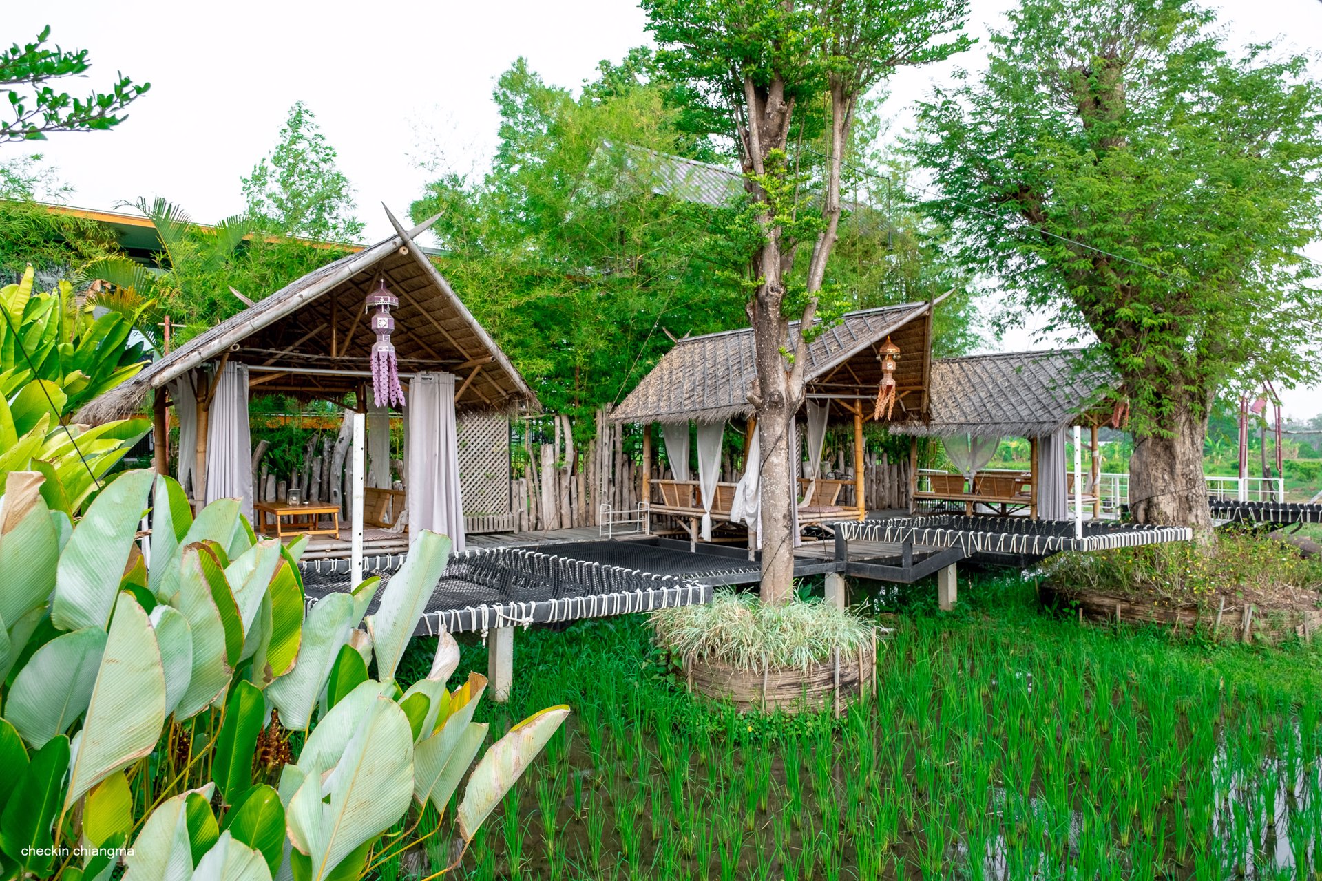 ขายด่วน-ร้องธารรวงข้าว-รีสอร์ท-เรสเตอรอง-บนพื้นที่-9-ไร่