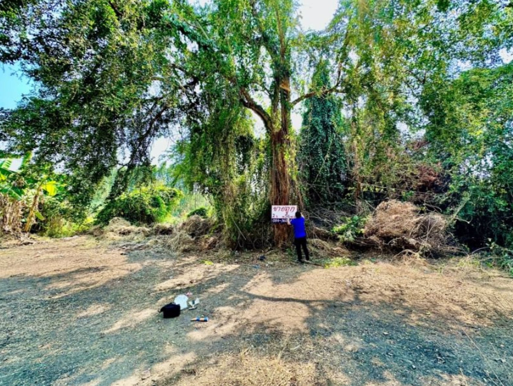 ขายด่วน-ขายถูก-ที่ดินเปล่าในโครงการ-หมู่บ้านวังทรัพย์สิน-วังน้อย