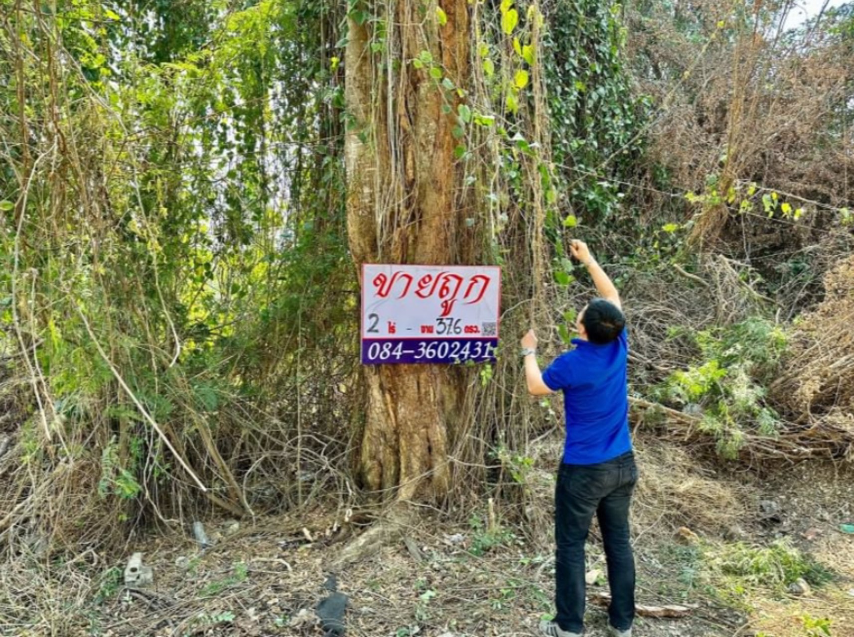 ขายด่วน-ขายถูก-ที่ดินเปล่าในโครงการ-หมู่บ้านวังทรัพย์สิน-วังน้อย
