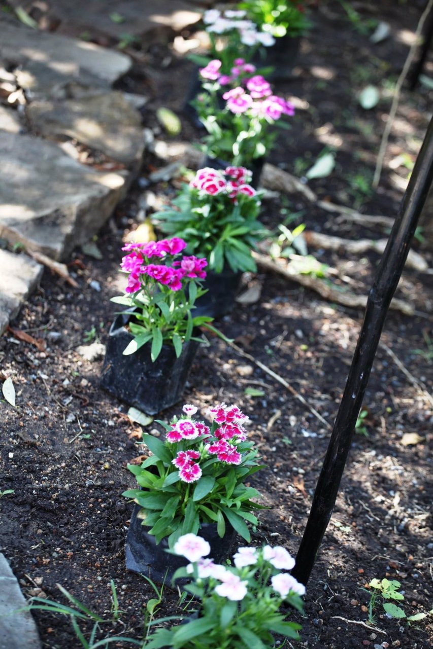 ขายบ้านพร้อมที่ดิน-3หลัง-บ้านสวนร่มรื่น-เหมาะกับการลงทุน-บ้านปลายฟ้า-baanplaifah-cottage-เขาใหญ่