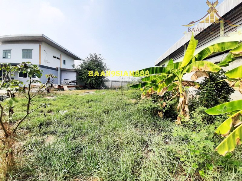 โกดังพร้อมโฮมออฟฟิต-เส้นถนน-345