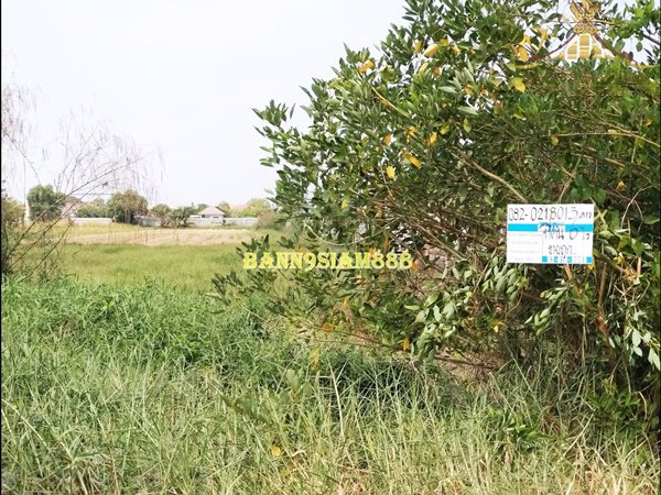 ที่ดิน-ซอยสุวินทวงศ์42