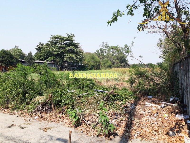 ที่ดิน-13ไร่-ติดถนนนิมิตรใหม่