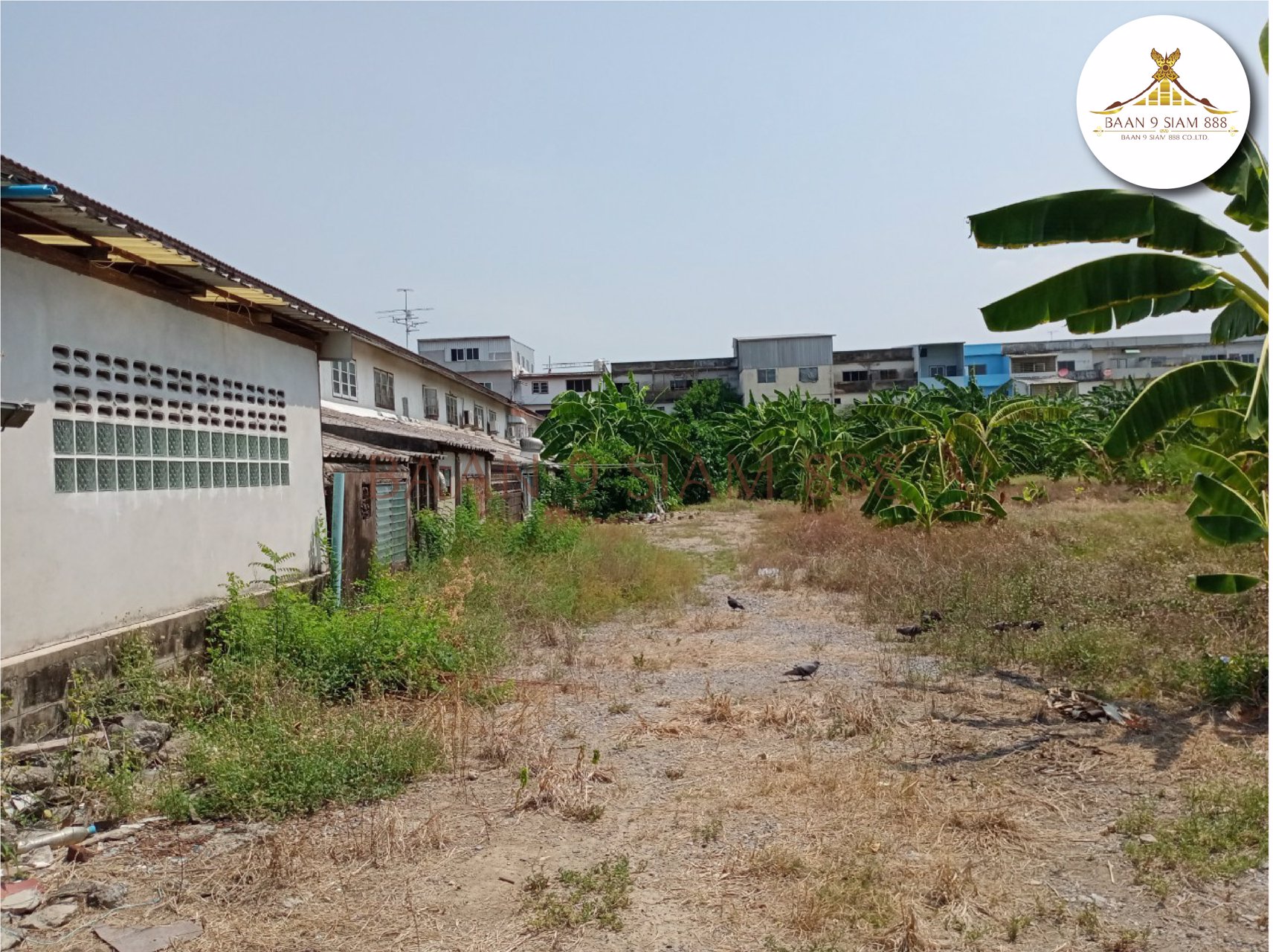 ที่ดิน-800-ตรว-ติดถนนกาญนาภิเษก-ใกล้สถานีรถไฟฟ้าสีม่วง