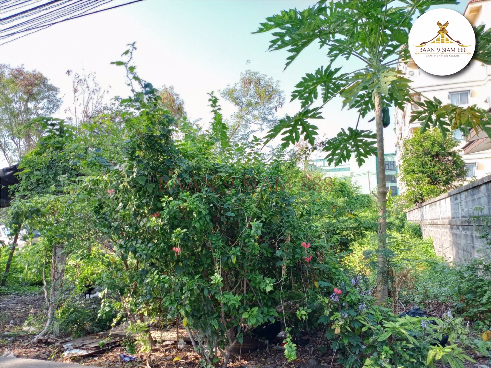 ที่ดิน-ซงามวงศ์วาน-25-แยก-15-และ-17