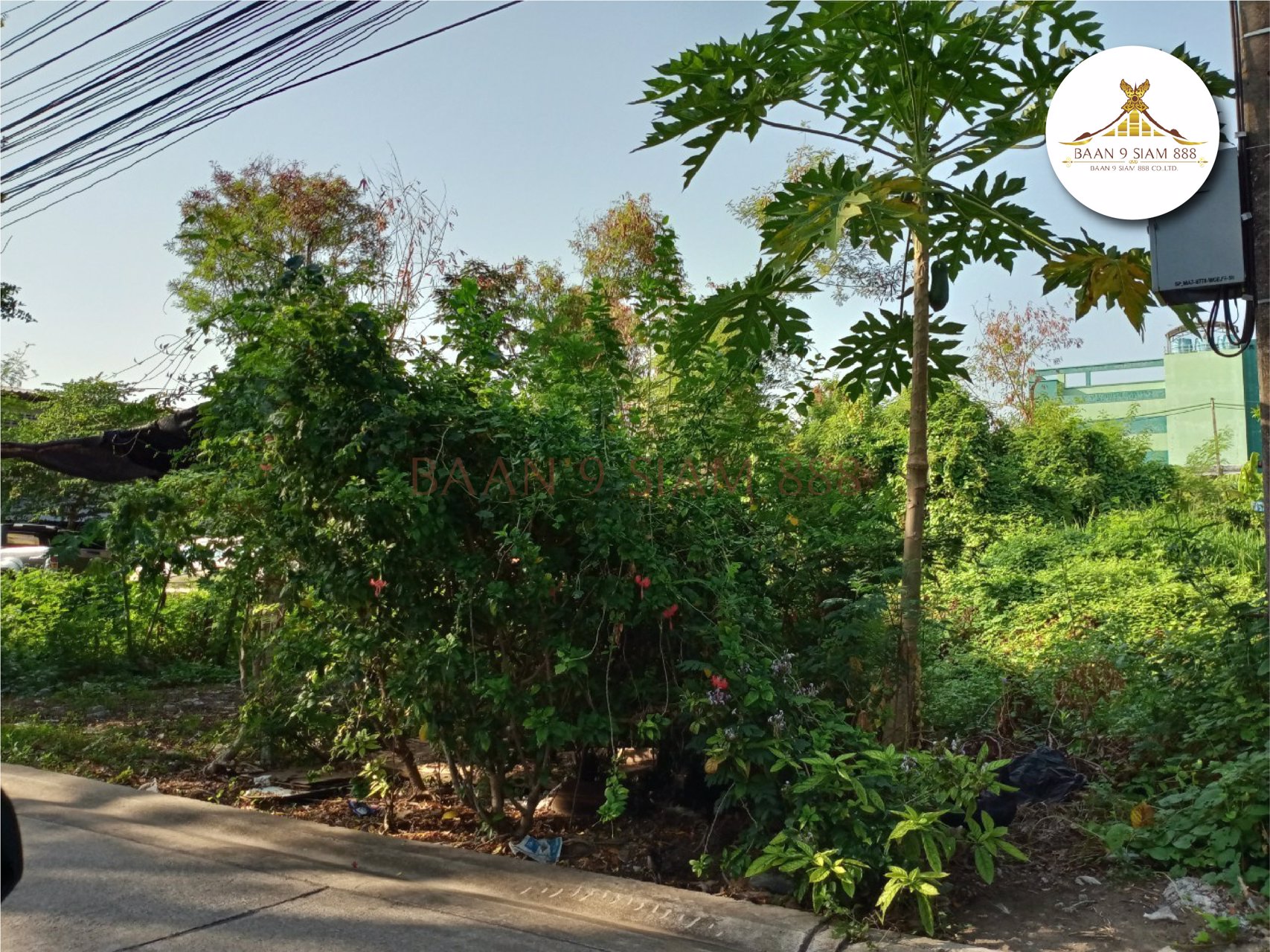 ที่ดิน-ซงามวงศ์วาน-25-แยก-15-และ-17