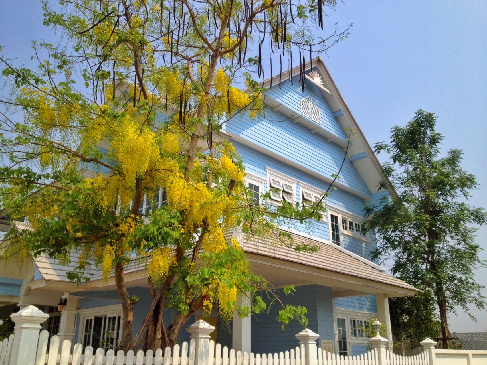 บ้านสไตล์-rustic-country-vintage-หนึ่งเดียวในหมู่บ้าน-บ้านฟ้าหลวง-อสันกำแพง-จเชียงใหม่