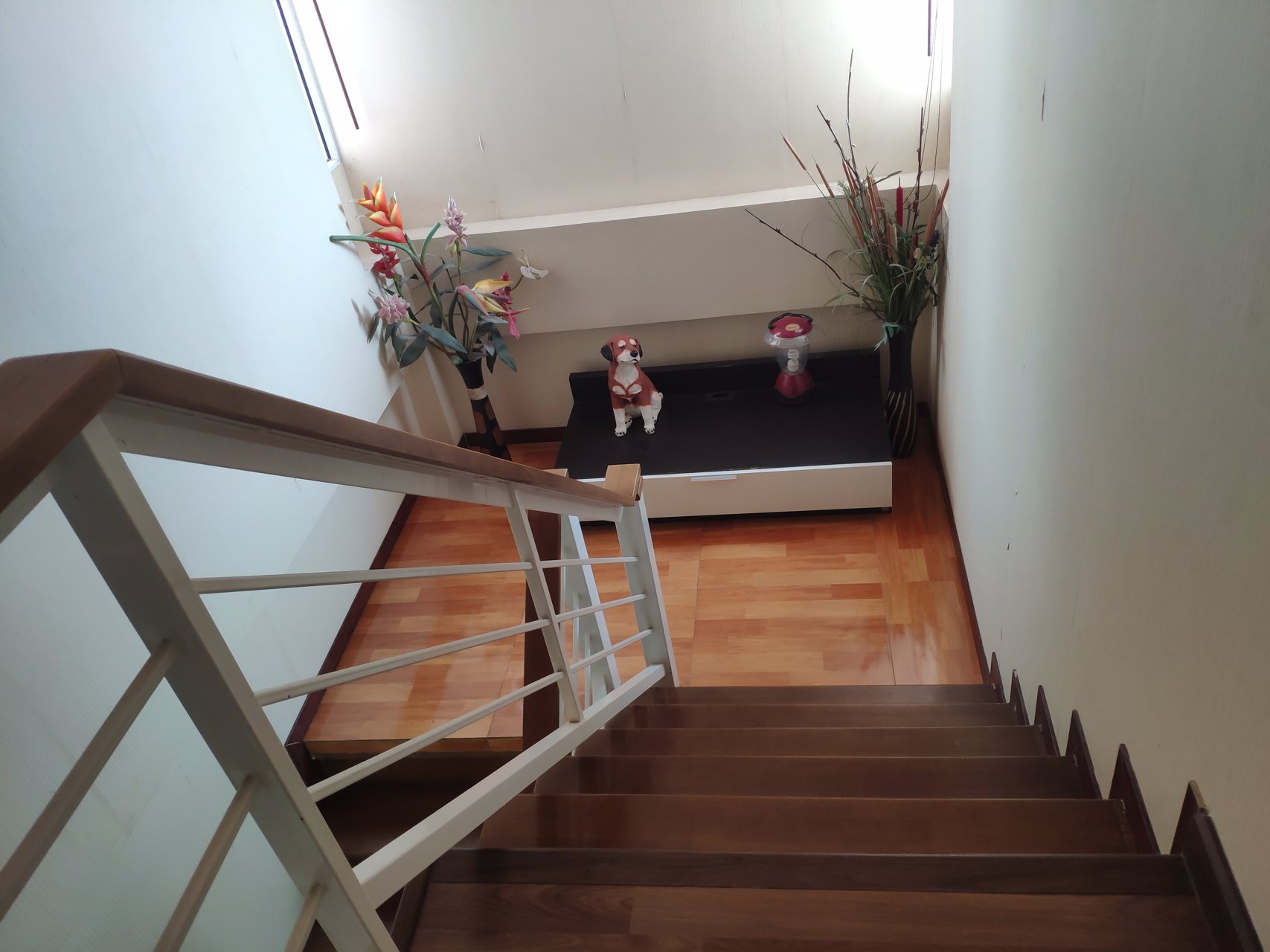 ขายขาดทุน-บ้านฮาบิเทีย-บางใหญ่-2-ชั้น-509-ตรว-บางใหญ่-ใกล้สถานีรถไฟฟ้าสายสีม่วง-ใกล้เซ็นทรัล