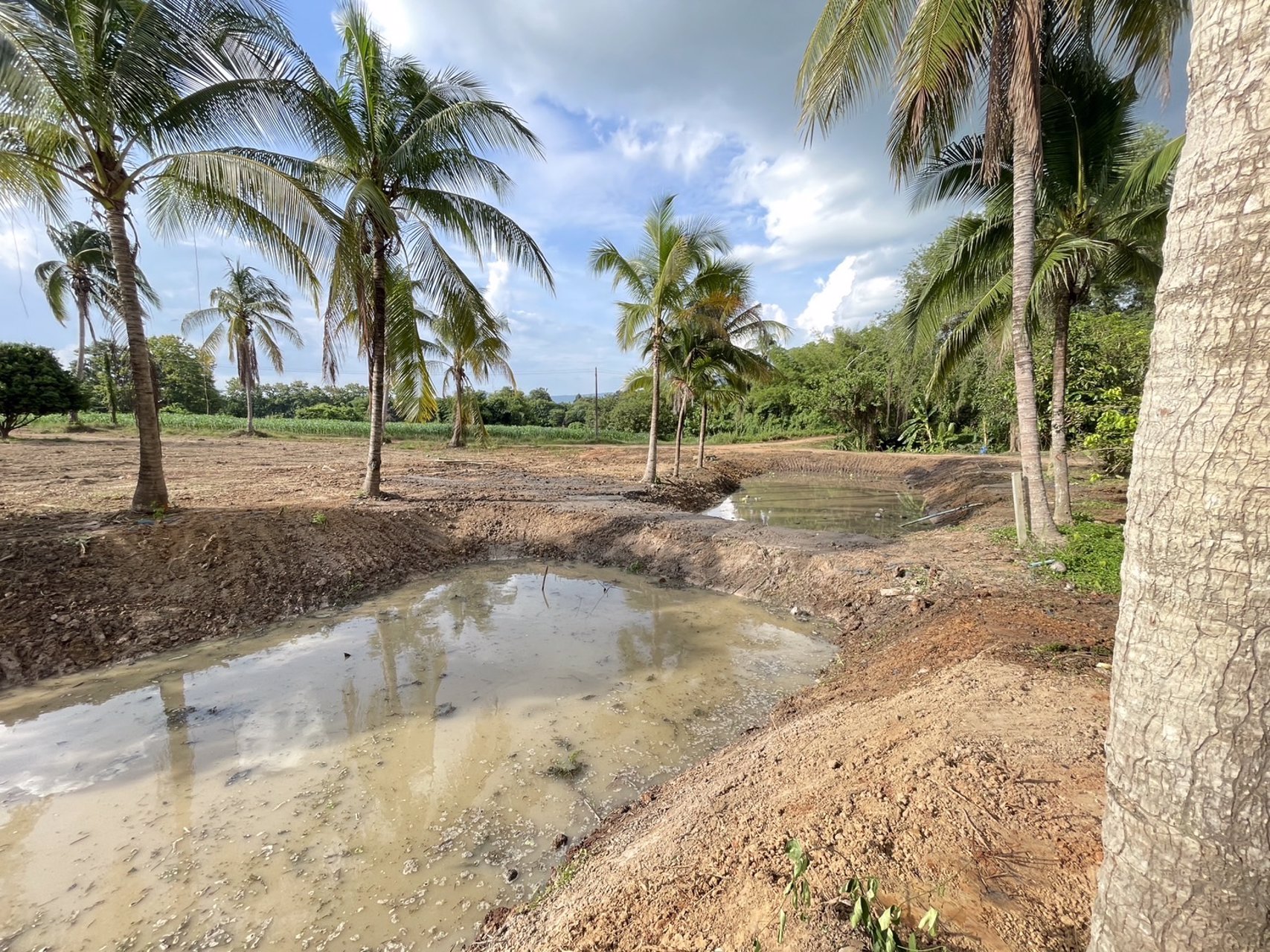 ขายที่ดิน-เนื้อที่-8-ไร่-3-งาน-70-ตารางวา