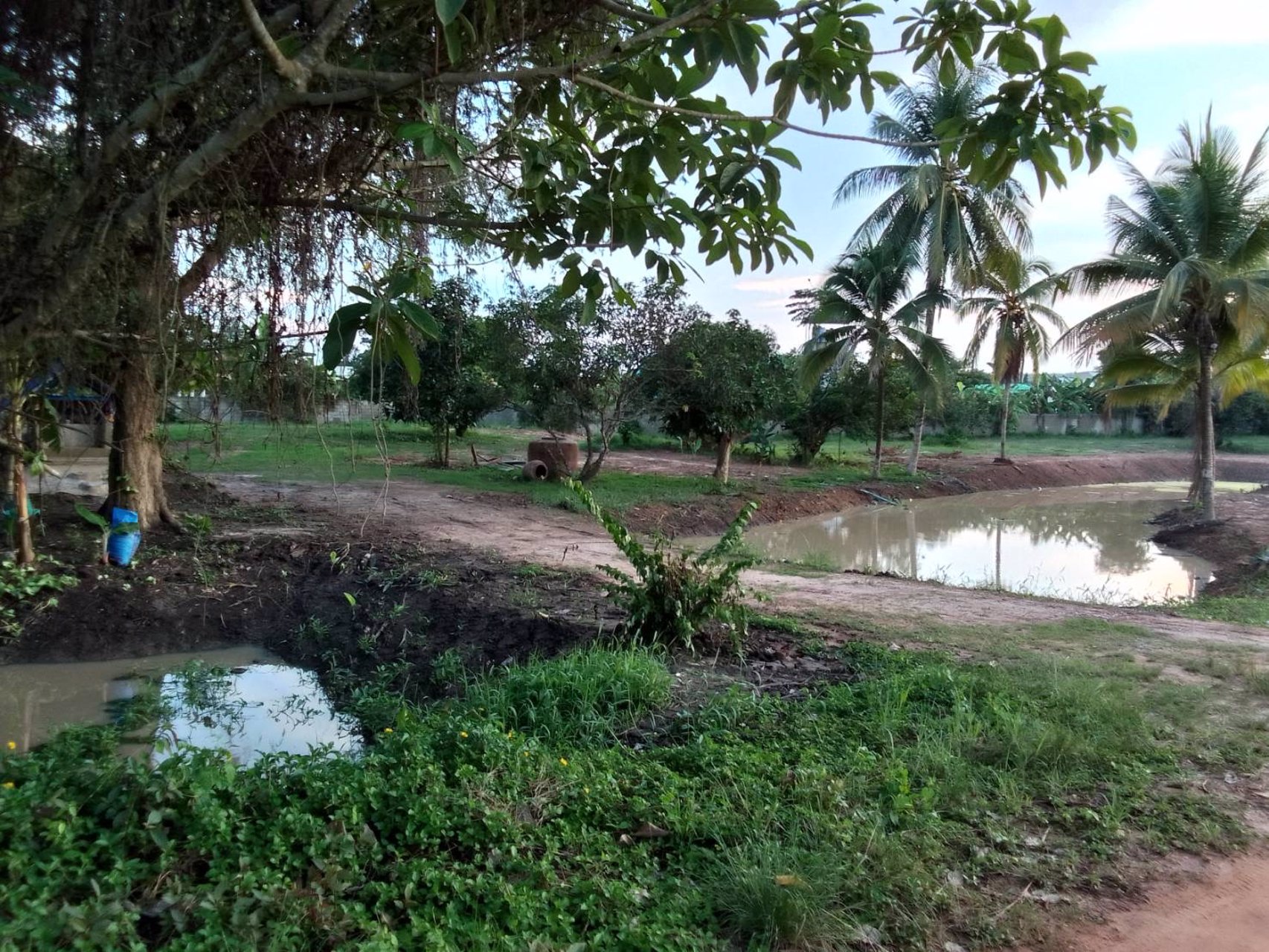 ขายที่ดิน-เนื้อที่-8-ไร่-3-งาน-70-ตารางวา