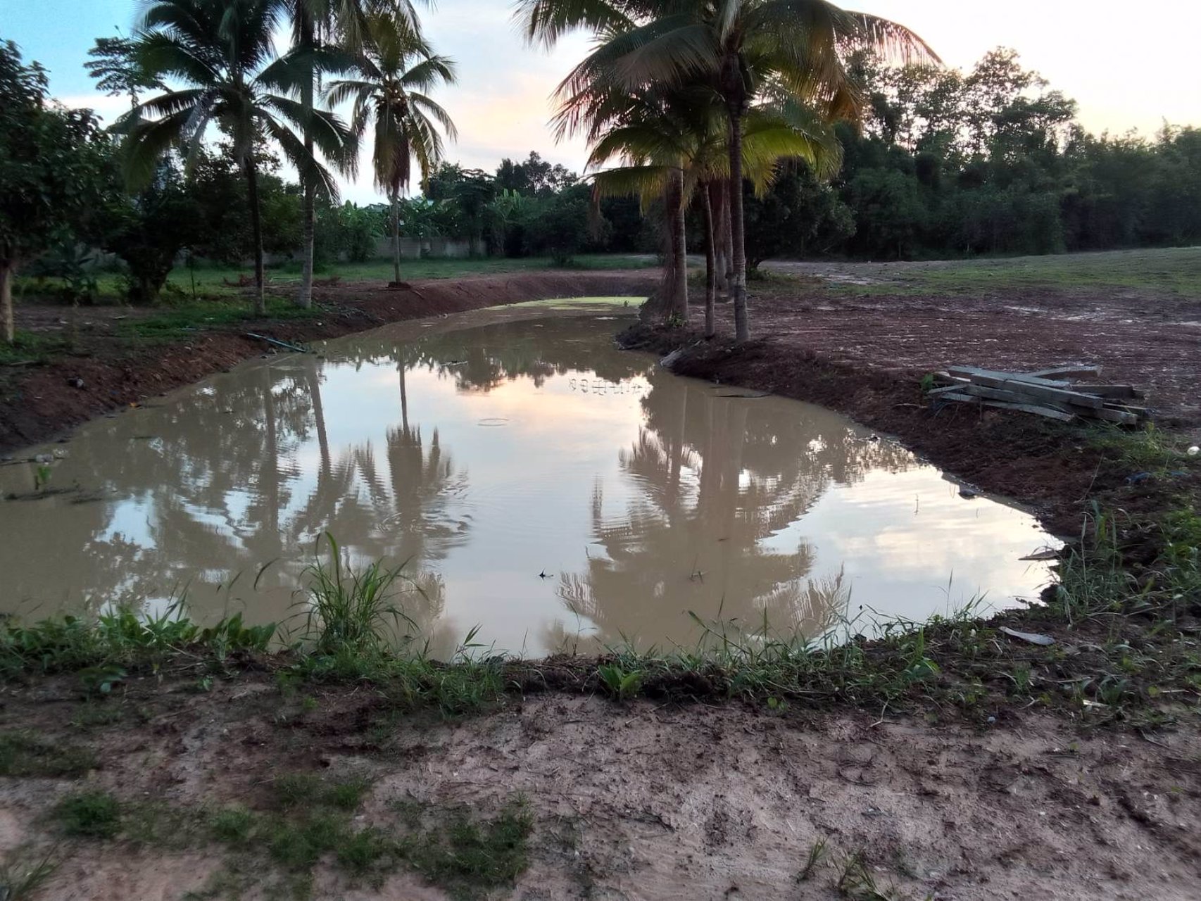 ขายที่ดิน-เนื้อที่-8-ไร่-3-งาน-70-ตารางวา