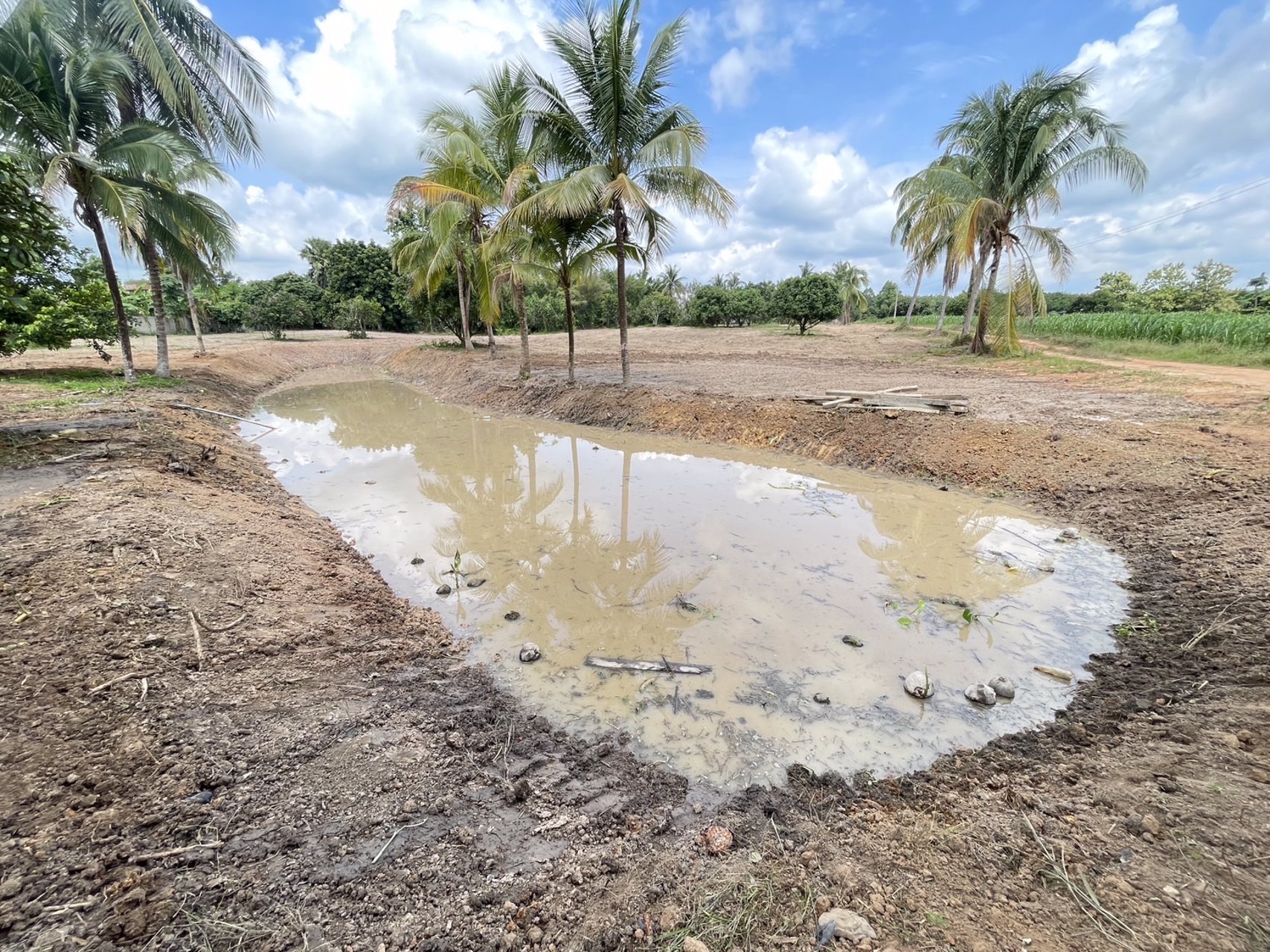 ขายที่ดิน-เนื้อที่-8-ไร่-3-งาน-70-ตารางวา