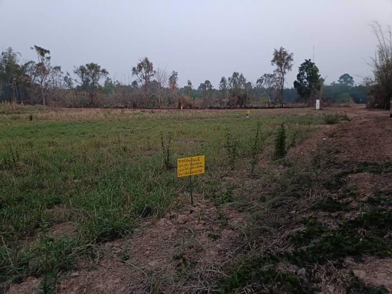 ขายที่ดินทำบ้านสวน150ตรว-ราคา120000บาท