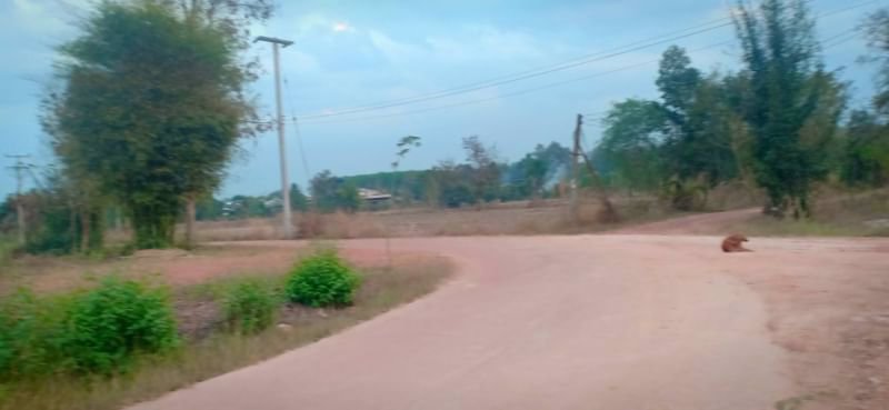 ขายที่ดินทำบ้านสวน150ตรว-ราคา120000บาท