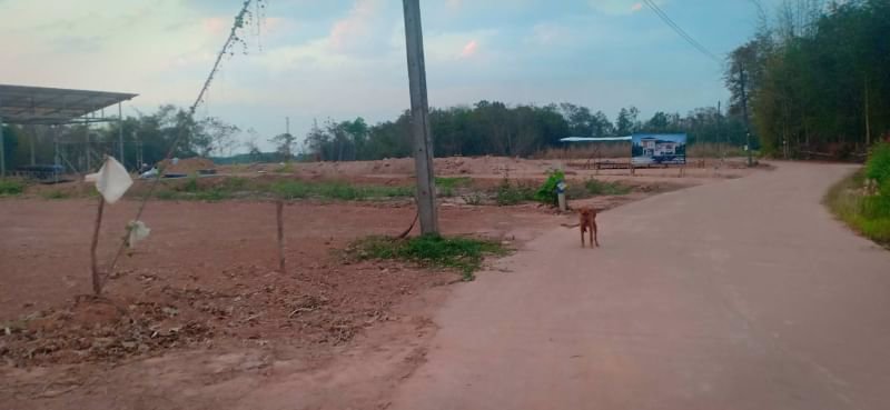 ขายที่ดินทำบ้านสวน150ตรว-ราคา120000บาท